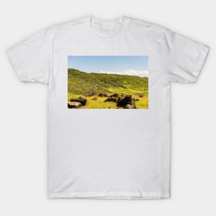 Landscapes of Road T-Shirt